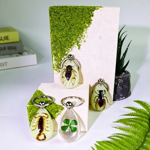 Llavero de Resina con Espécimen de Araña Real de Alta Calidad, Brilla en la Oscuridad, Novedad para Hombres, Llaveros Promocionales con Mosquetón - Product Image 2