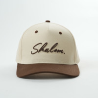 Cappello da Baseball in cotone di alta qualità con Logo ricamato personalizzabile e Design personalizzato punto frutta modelli Dobby in stile Oxford