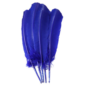 Vente en gros de plumes de faisan et de paon naturelles magnifiques pour décorations de mariage/de fête - Product Image 3
