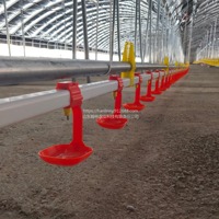 Línea de Agua de Acero Inoxidable para Cría de Aves de Corral, Automatización Agrícola, Marca NORTH&HUSBANDRY, Modelo de 50 Pulgadas de Largo