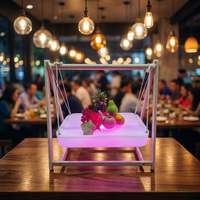 Lampe de table carrée en plastique LED, étanche, résistante aux chutes, à changement de couleur, avec plateau lumineux pour fruits, pour bureau, restaurant, bar