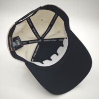 Gorra de Béisbol Deportiva al por Mayor, de Alta Calidad, con Estructura en A, Logotipo Personalizado, Bordado 3D, 5 Paneles, de Algodón, con Letras, Dos Tonos