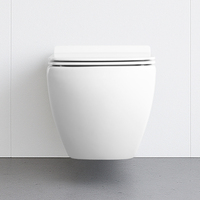 WC suspendu en porcelaine monobloc, ensemble de toilettes gain de place pour villas et salles de bain scolaires