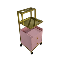 Chariot de Salon de Beauté de Luxe en Acier Inoxydable Plaqué Or, Chariot de Spa Durable avec Roues