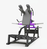 SKFITNESS Machine Hack Squat à charge par plaques, directement de l'usine chinoise, équipement d'entraînement de force, vente en gros, solution d'aménagement de salle de sport