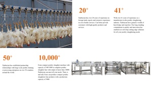 Máquina automática de matadero de pollos, 200BPH a 10000BPH, Halal - Product Image 4