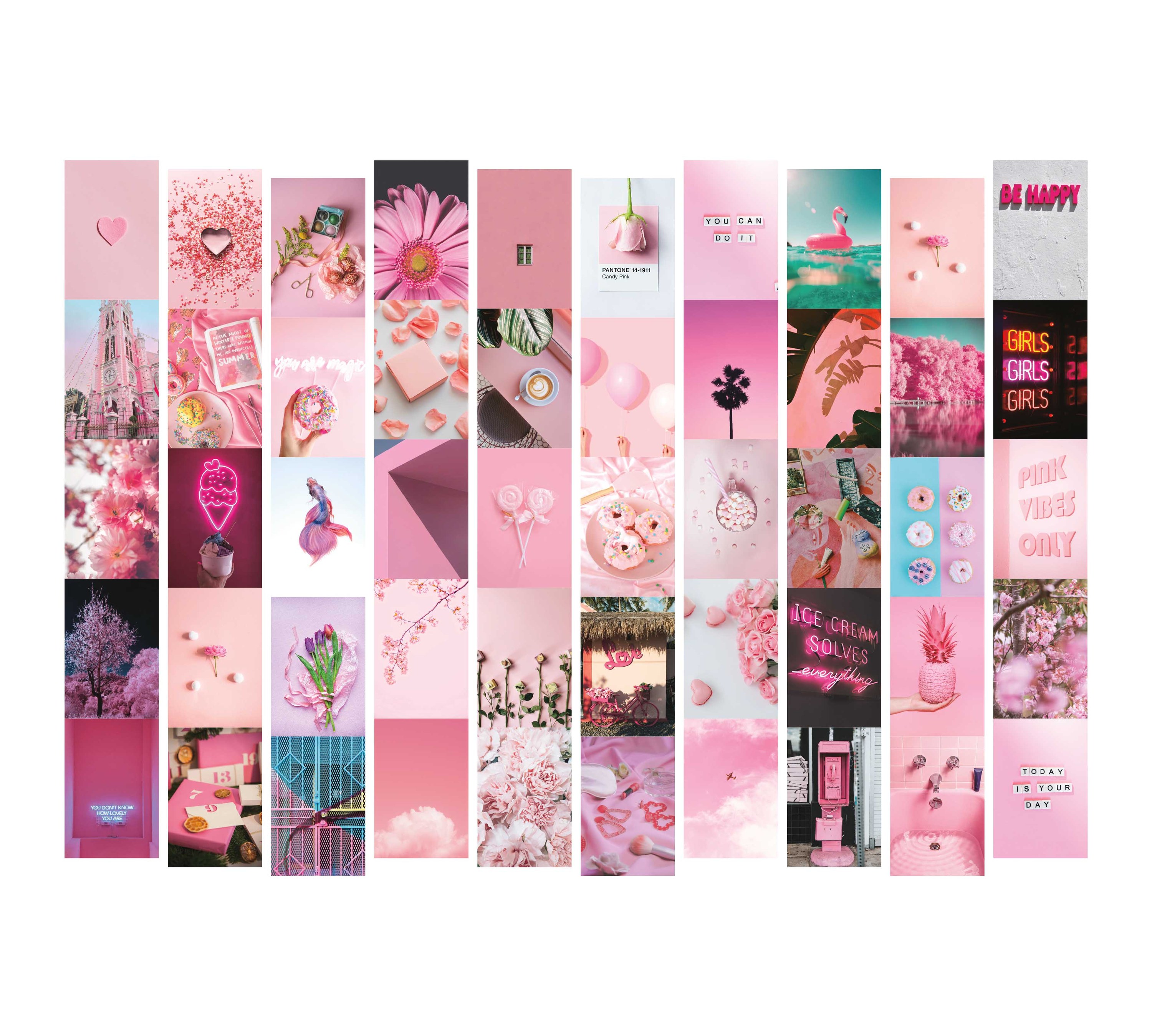 Rose (Stock AE)**