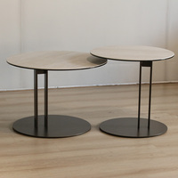 Ensemble de table basse moderne pour salon avec cadre en acier inoxydable et plateau en verre trempé, design réglable pour un usage domestique