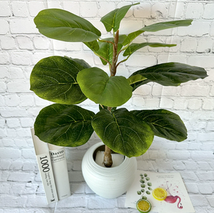 Longstar calda vendita solitaria pianta di Banana Bonsai-foglia artificiale fico per l'arredamento della casa - Product Image 6