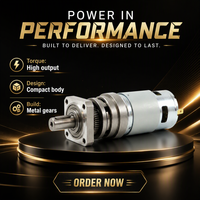 Moteur CC à courant continu 775 à couple élevé, 12 V 24 V, 42 mm 45 mm, avec boîte de vitesses planétaire, rapport de réduction 1/64