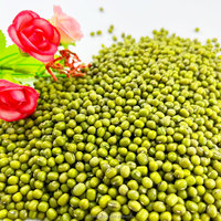 Vente en gros de pousses de haricot mungo et de haricots verts séchés de qualité supérieure, emballage en vrac de 25 kg pour usage alimentaire à prix compétitif