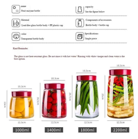 Bocal de Fermentation en Verre Moderne avec Valve de Fermeture Hermétique et Poids, Kit de Bocal à Cornichons à Large Ouverture pour Kimchi, Choucroute, Kombucha