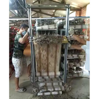 Cage à cailles automatique avec bande transporteuse à fumier et production d'œufs