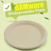 Assiettes en papier 100 % compostables, assiettes jetables naturelles en bagasse, écologiques, fabriquées à partir de fibres de canne à sucre