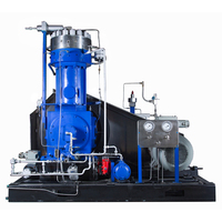 Pièce d'équipement de génération de gaz essentiel de compresseur d'hydrogène de diaphragme d'entraînement liquide de 45MPa pour des stations de ravitaillement d'hydrogène