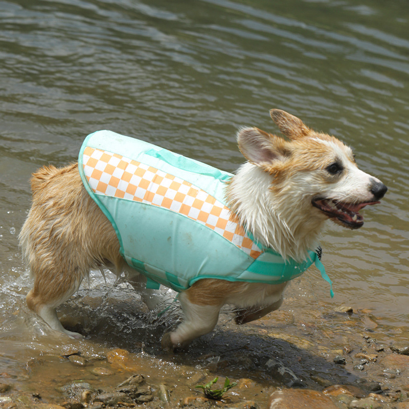gilet de sauvetage à carreaux aux couleurs contrastées