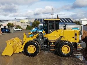 Pala Gommata L946H a Consegna Rapida con <span class=keywords><strong>Forza</strong></span> di Rottura di 125kN <span class=keywords><strong>per</strong></span> la Consolidazione del Terreno Agricolo - Product Image 4