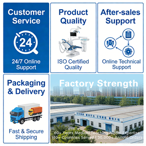 Espátulas de Resina Dental para Rellenos de Composite, Cabeza de Acero Inoxidable, Mango Grueso Ergonómico, Manual, Reutilizable, para <span class=keywords><strong>Ortodoncia</strong></span> - Product Image 6