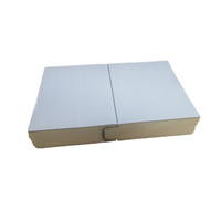Panneaux de toiture et de mur en PU/PIR isolés sur mesure, panneaux sandwich pour hangar en Alaska
