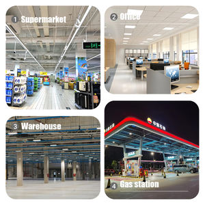 Éclairage LED pour terrain de volley-ball, <span class=keywords><strong>tennis</strong></span> <span class=keywords><strong>et</strong></span> badminton en intérieur, indice de protection IP65, anti-éblouissement, 6000K, lumière du jour, IRC 80, dimensions personnalisées, plafond haut - Product Image 4