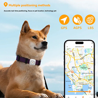 Moniteur d'activité pour animaux de compagnie en gros 4G système de positionnement global tracker mesure les calories des animaux de compagnie pour chiens et chats