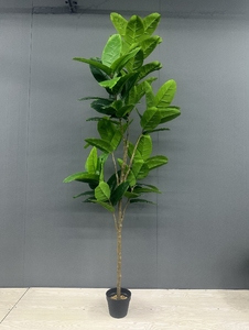 C811 Plante Artificielle Mini Palmier et Plastique Voyageur Basho Fan Plantes Bonsaï pour Décoration Intérieure - Product Image 3