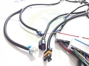 '99 - '06 VORTEC W/ T56 автономный жгут проводов (DBC) с LS1 INT - Product Image 4