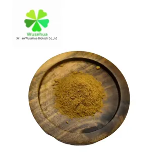 Organic Olive Leaf Extract 50% Oleuropein Powder in Bulk HPLC Herbal Extract Curry Leaf Seeds to health Grade