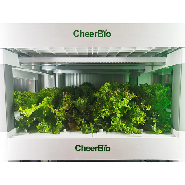 New Intelligent Cabinet Hydroponic System Grow Box Full Spectrum Light Hydroponic Home Indoor Smart Garden Planter