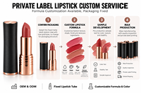 Rouge à lèvres cosmétique en velours mat, haute pigmentation, longue tenue, lisse, étiquette privée, logo personnalisé, vente en gros pour les marques de beauté