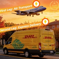 Agent d'expédition de fret aérien de premier plan de Chine vers le Brésil, livraison porte-à-porte DDP, applicable aux marchandises de +5 kg