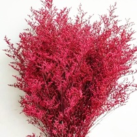 Buket Bunga Kering Alami Limonium Caspium Lover Grass 65cm, Tangkai Bunga Abadi untuk Dekorasi Meja