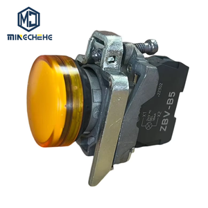 Lumière indicatrice LED série ZB4BV053+ZB4BVB5 pour montage sur panneau, diamètre 22 mm, tension nominale 24 VAC/DC - Product Image 1