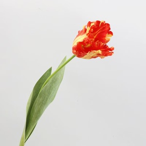 High Quality Artificial Silk Parrot <strong>Tulip</strong> Flowers Spring Colors for Home <strong>Table</strong> Vase Decoration Premium Simulation Flower - Product Image 4