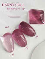 DANNY COLL plus récent verre translucide couleur Gel vernis ensemble 9 couleurs haute qualité en gros violet Gel vernis à ongles ensemble