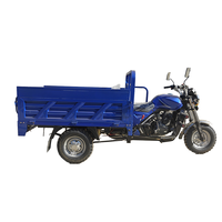Motocicleta Triciclo de Carga de Tres Ruedas para Adultos, Motor de Gasolina de 200cc, Carrocería Abierta, Deportivo