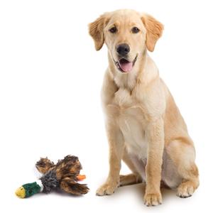 ของเล่นสุนัข Petdom 2-in-1 แบบไม่มีไส้ใน พร้อมเสียงบีบ ของเล่นตุ๊กตาหมีนุ่ม ของเล่นสัตว์ทำจากผ้าสำหรับสุนัข - Product Image 2