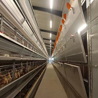 Système de cage à poules pondeuses automatique en acier galvanisé de type H à 4 niveaux avec collecte des œufs et élimination du fumier