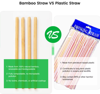 Pailles jetables en bambou naturel de qualité alimentaire, écologiques et biodégradables, idéales pour les bars, les fêtes et les boissons – Vente chaude