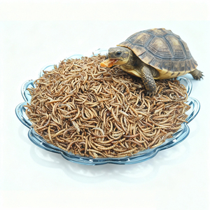 หนอนนกอบแห้งแบบไม่ใช่จีเอ็มโอ (Non-GMO) ยี่ห้อ Tenebrio Molitor สำหรับ<span class=keywords><strong>อาหาร</strong></span>ไก่และสัตว์ปีก - Product Image 6