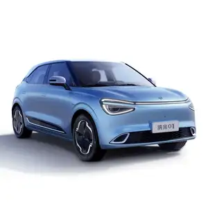 2024 New China Cheap Small Car English / Spanish Language Version Luxury Smart Electric Car Dongfeng Nammi 01 Electric Car