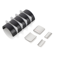 Chinenese kustom segmen busur langkah Dc Starter Neodymium Motor Magnet