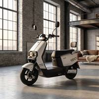 Moto électrique 1000W 60V Lithium, 3 vitesses réglables, autonomie 40km, charge utile 200kg, frein à disque avant, frein à tambour arrière, E-Moto urbaine