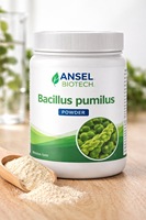 Poudre de Bacillus Pumilus Probiotiques d'origine