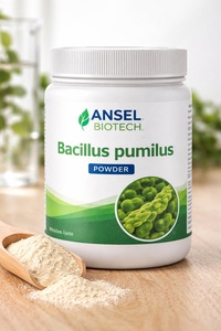 ผงโปรไบโอติกจากแบคทีเรีย Bacillus Pumilus - Product Image 2