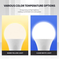 Ampoules LED 110V 220V Matière première 3W 5W 7W 9W 12W 15W 18W 22W E27 B22 Focos Luces Led Lampara Led Ampoules LED pour la maison