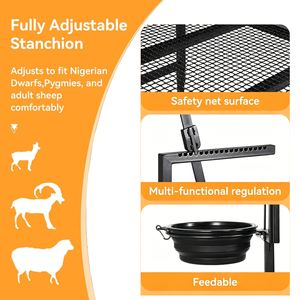 <span class=keywords><strong>Support</strong></span> de traite pour chèvres avec bac à alimentation, poteau réglable pour moutons, plateforme de coupe de sabots pour toilettage et tonte, équipement d'élevage - Product Image 4