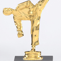 Trofeo de Mármol Personalizable con Impresión UV Dorada para Judo, Boxeo, Taekwondo y Artes Marciales, con Base de Mármol Negro DL08