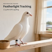 Traceur GPS mondial étanche pour oiseaux avec suivi en temps réel gratuit à vie et longue autonomie de batterie, sans carte SIM requise, pour pigeons/colibris