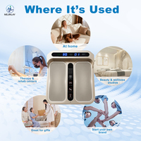 Appareil de massage des pieds à ions négatifs Tera P90 PEMF, machine de soins de santé Terahertz DY-FM03plus